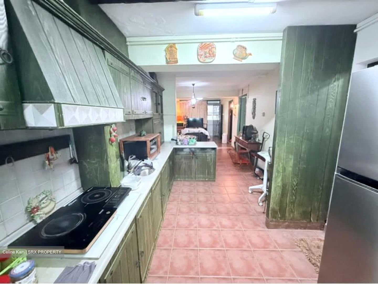 Holland Avenue (Queenstown),  #557935121